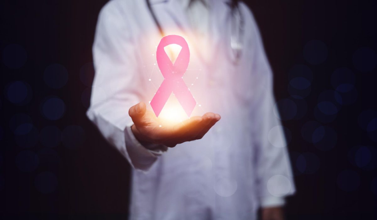 EN-B-OL-CN1-V67_20260227_160932_v1